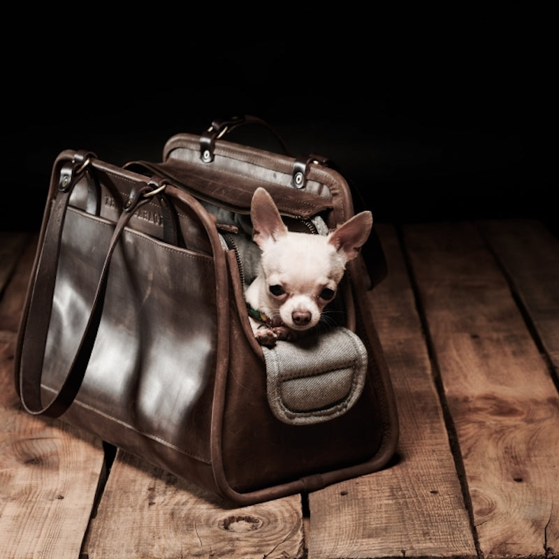 Leather Pet Carrier WS059 - series Pet Carriers by KrukGarage Atelier