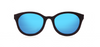 Wood Sunglasses for Men and Women - Black Hornbeam with Sky Blue Lenses by BREVNO on Jetset Times SHOP